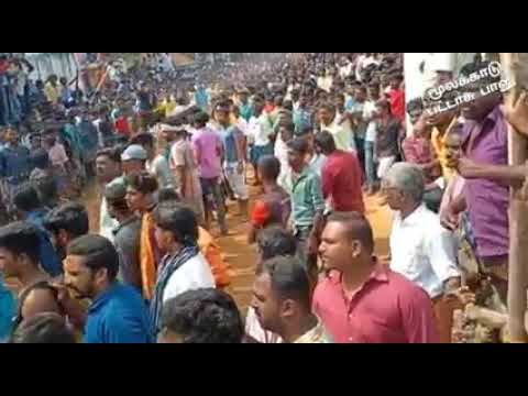 மூலக்காடு பட்டாசு பாலு 💥💥👑🧨💯💯💯