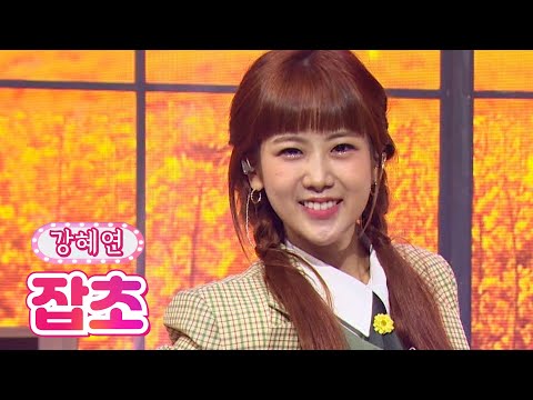 강혜연 - 잡초 내딸하자 19화 210813 방송