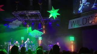 Wildcats Of Kilkenny @ The Arc Stockton On Tees - The Pogues Streams Of Whiskey Christmas December19