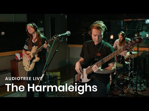 The Harmaleighs - Don't Panic | Audiotree Live