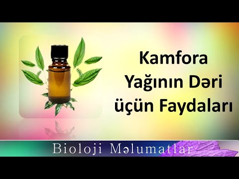 Kamfora Yağının Dəri üçün Faydaları