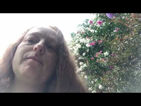 Flowing with Flowers ....