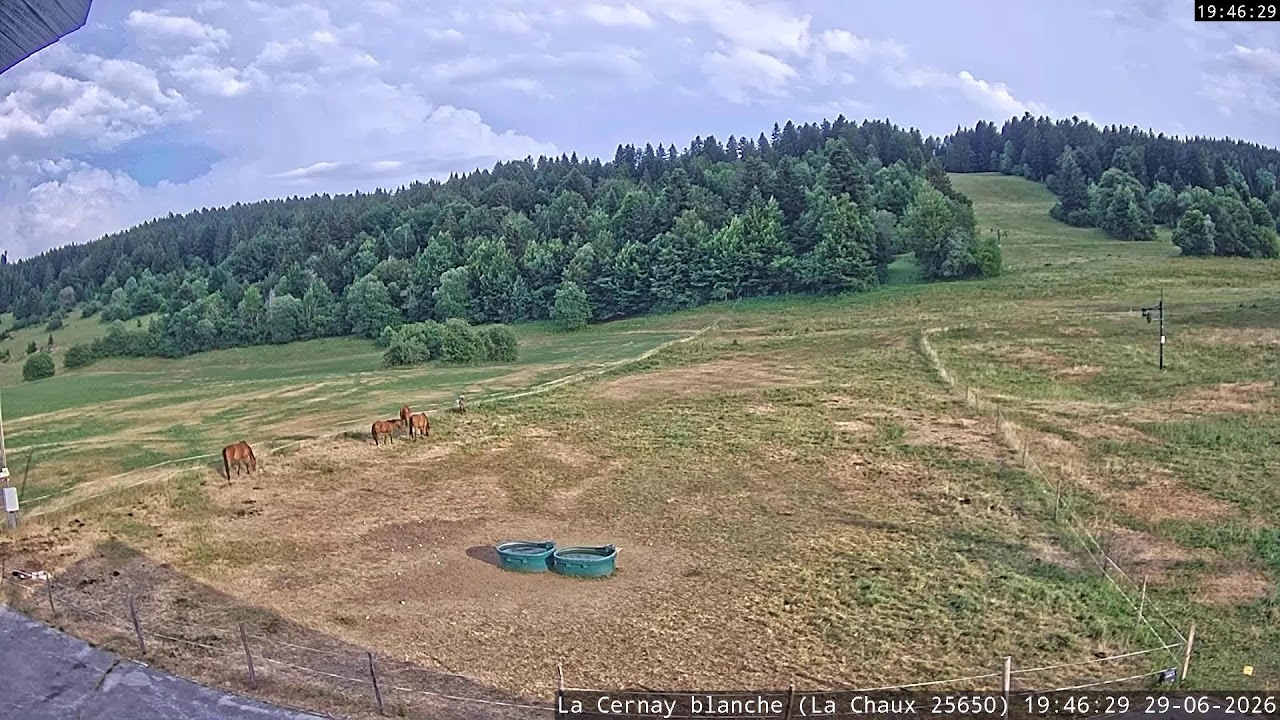 Live webcam view of Horses Grazing at La Cernay Blanche