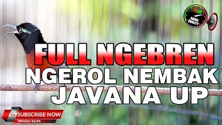 Download lagu KONIN GACOR FULL NGEBREN JEDA NATURAL SANGAT EFEKTIF UNTUK MASTERAN KOLIBRI NINJA NGEROL JUGA NEMBAK mp3