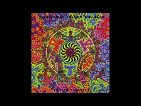 Shamanic Tribes On Acid - 303 To Infinity (1997)