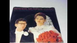 Spider Murphy Gang Sch-Bum (&#39;S Leben Is Wiar A Traum) PLAK RECORD 7&quot;