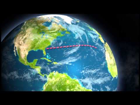 Loggerheads: The Epic Journey | Georgia Outdoors