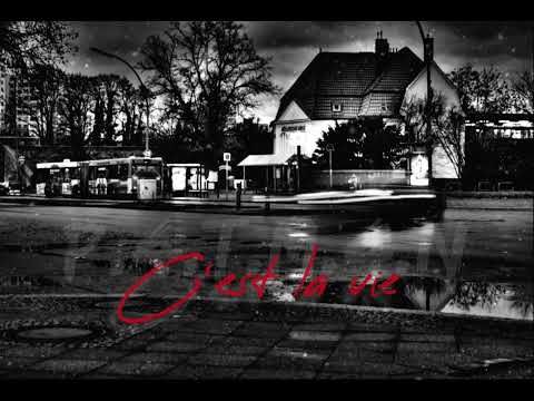 P.A.T.M.A.N - C'est la vie