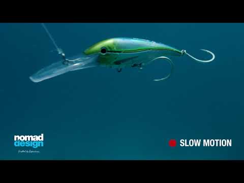 DTX 200 Underwater Footage