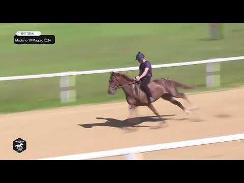 Corse in Provincia, Mociano 10 Maggio 2024