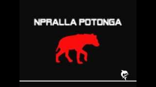 Npralla Potonga - Control of Privacy