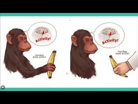 The Impact of Media Use on Adolescent Cognitive and Behavioral Development