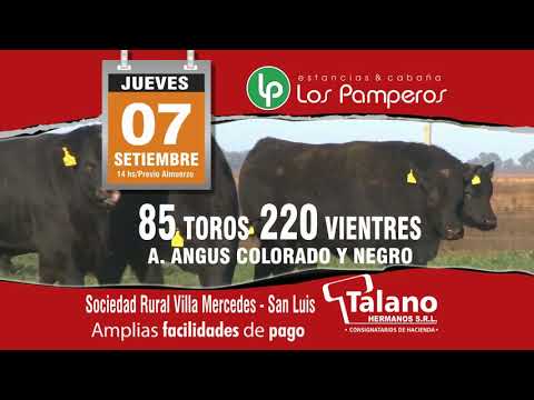 Invitación 11º Remate Anual Los Pamperos San Luis 2017 - Talano Hnos
