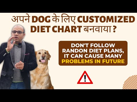 Why Balanced Diet is so important for your dogs | Get Customized Diet Chart NOW | Baadal Bhandaari