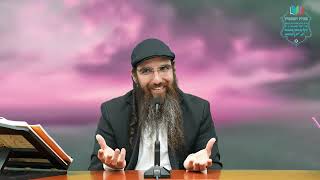 הרב יוסף דלויה | גם שהחיים דבש , לא שוכחים את בית המקדש ! |