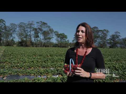 Kwela Dorp van Die Jaar 2020 - George is a semi-finalist!