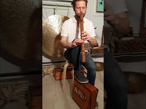 improvisation native flute shrutibox