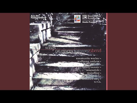 Popcorn Frutti di Mare