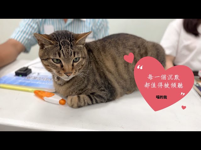 【反霸凌由我開始】微笑紙巾