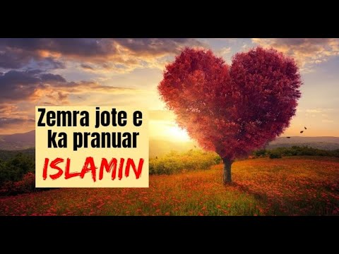Zemra jote e ka pranuar Islamin - Nouman Ali Khan