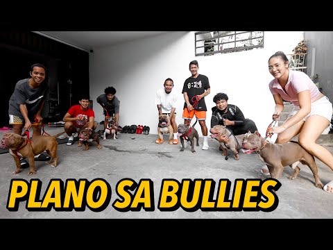 PLANO SA BULLIES | vlog 12