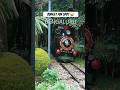 Fun At Bal Bhavan Cubbon Park Must Visit Place In Bangalore With Family Park Bangalore
