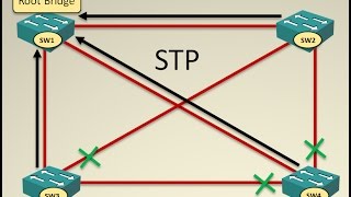 STP Cisco