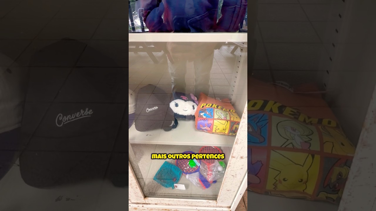 EM COISAS QUE VEMOS PELO JAPÃO 🇯🇵