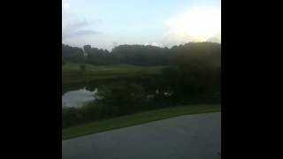 Sitting on the stairwell (315-8/29/13)