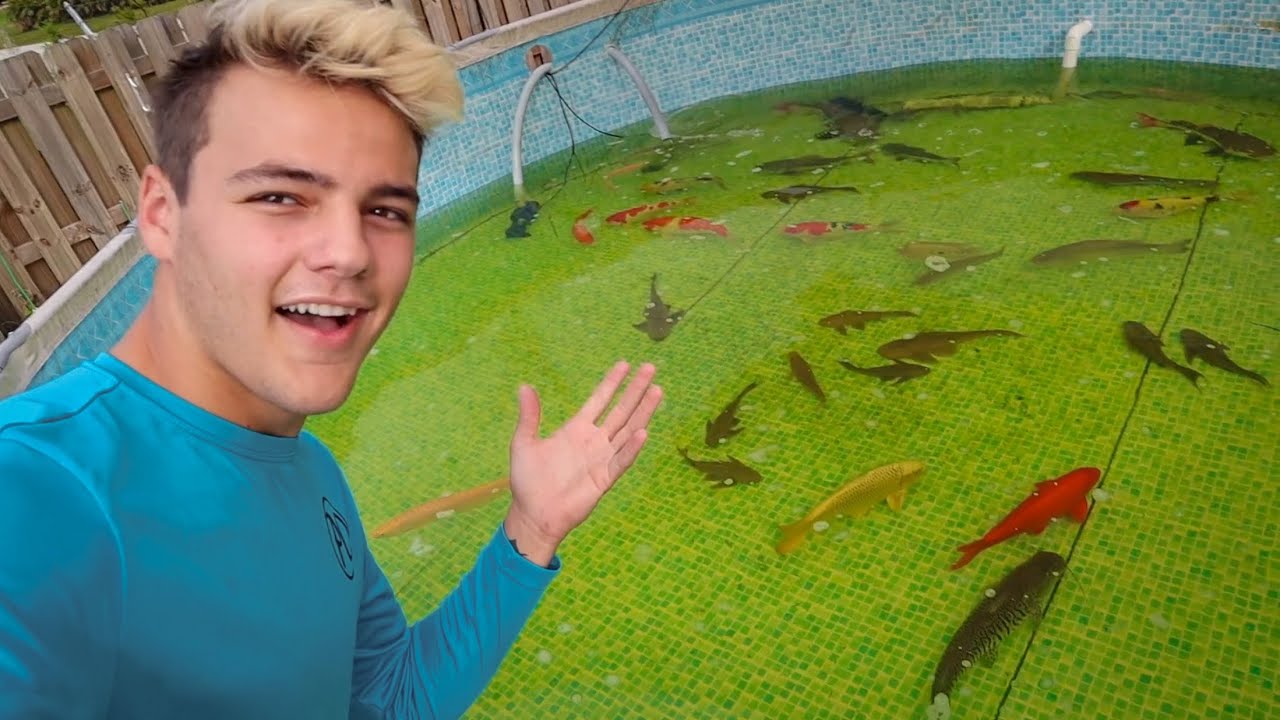 ULTIMATE BACKYARD FISH COLLECTION!!!