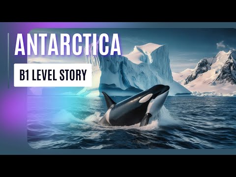 B1 Level-Antarctica