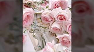 Dil pagla | zaib bangash | ho mann jahan