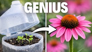 Grow Hundreds of Flowers the Easy Way.