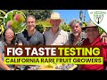 FIG TASTE TESTING | Top Tasting Varieties | feat. CRFG.org