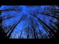 Jacob ft Tyra C - Leaving [Ruelz Edit] 