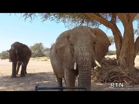 The Namibia you have to see - Damaraland