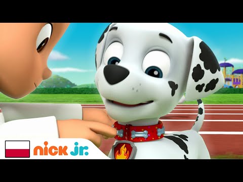 Psi Patrol | Marshall wygrywa wyścig! | Nick Jr.