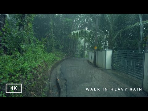 Walking in Heavy Rain | Monsoon Rainy Season in India | The beauty of the Indian countryside | ASMR