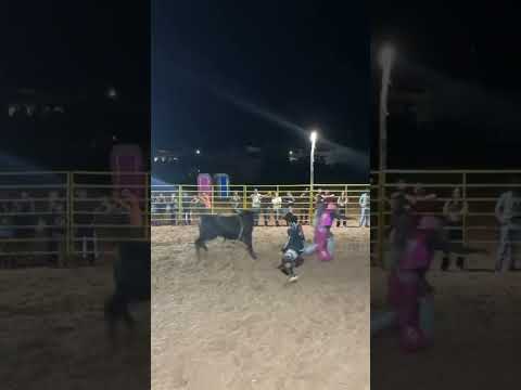 Rodeio São Sebastião do anta 2026/ Thales