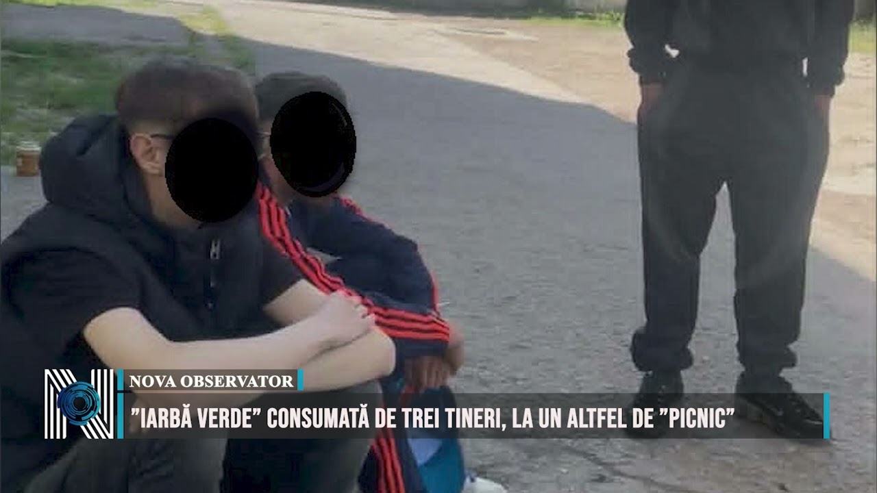 ”Iarbă verde” consumată de trei tineri, la un altfel de ”picnic”