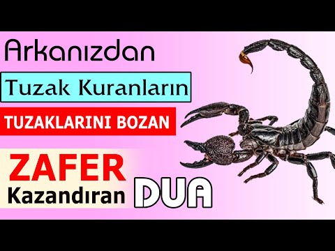 Arkanızdan Tuzak Kuran, Vazgeçmeyen, Sinsi Kötü İnsanlara Karşı Allah'tan Zafer İsteme Duası