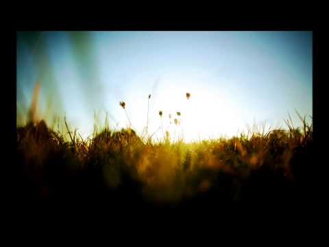 Life (FT Veela)(full vocals edit)