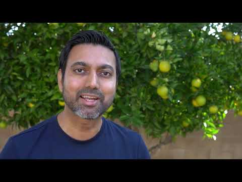 How to Keep Flies Away From Food at an Outdoor Party - 13 Different Ways!