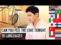 Can You Feel The Love Tonight The Lion King Multi Language Cover In 16 Languages Travys Kim