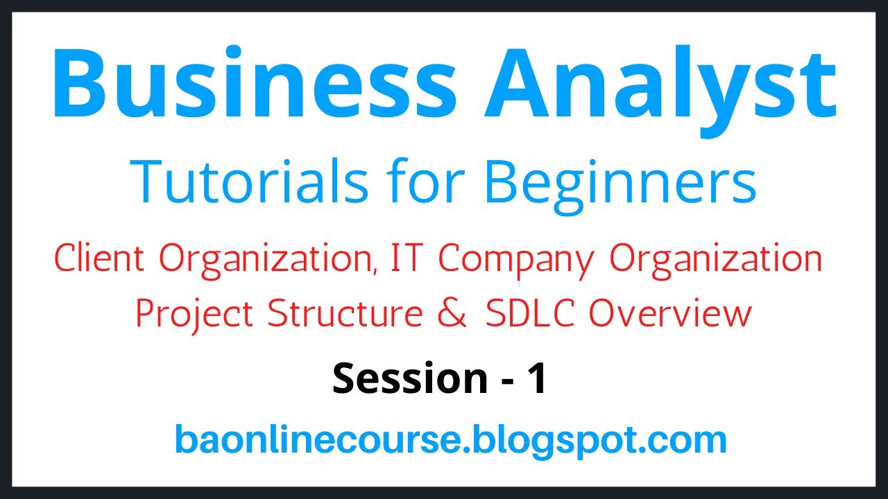 Business Analyst Tutorials for Bebinners | Client Organization | Project Structure | IT Company Org