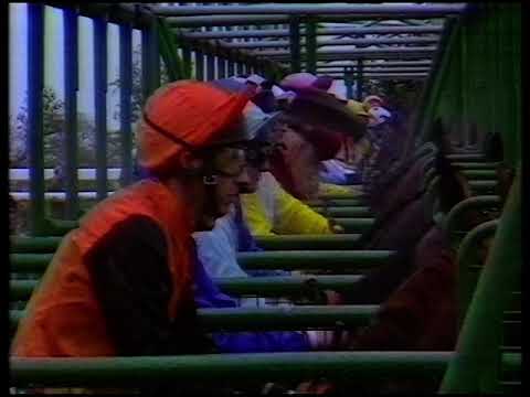 1991 William Hill Stewards' Cup Handicap