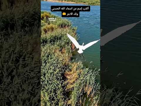 #سبحان_الله 🥹☝️🤲