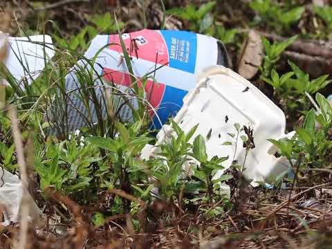 Minister Julius To Litterbugs Have Some Civic Pride!