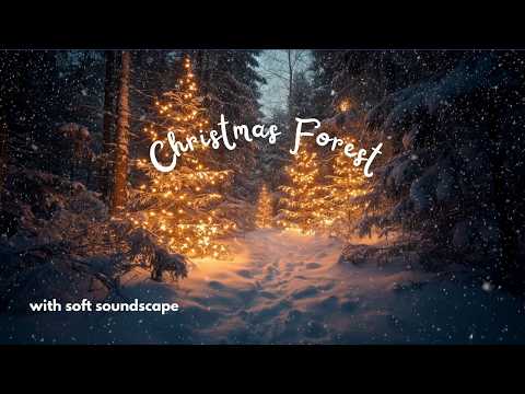 Night Ambience in a quiet Christmas Forest ✨ Snowfall & Snow Sounds ❄️
