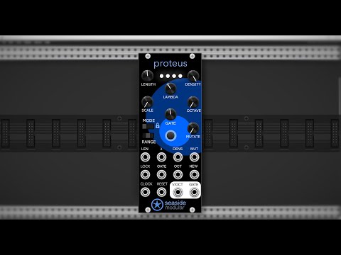 Generative Patch From Scratch with Proteus